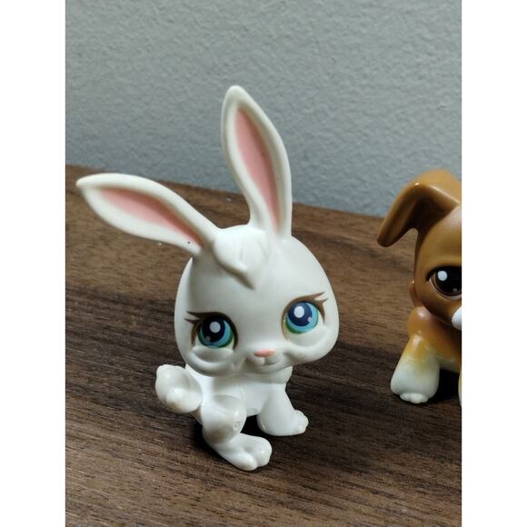 Hasbro Littlest Pet Shop LPS Lot Of 4 Animals Cat Dog Turtle Bunny Rabbit - Picture 2 of 7